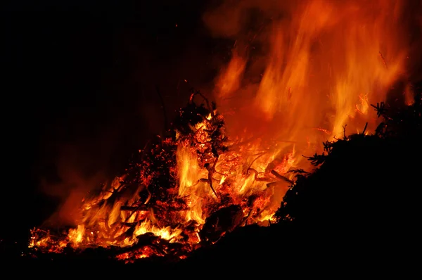 Night bonfire — Stock Photo, Image