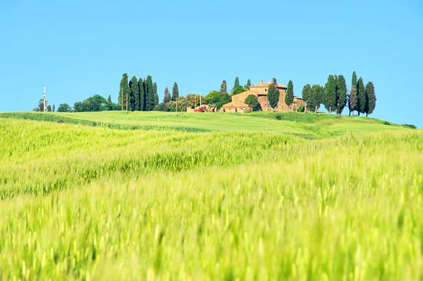 Zona rural. — Foto de Stock