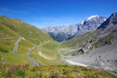 Stelvio Geçidi