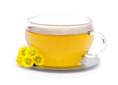 çay coltsfoot