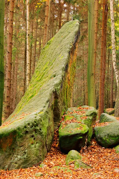 Sandstone rock in forest — Stock Photo, Image