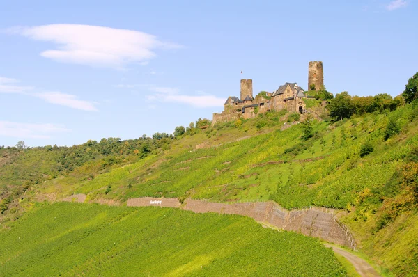 Castillo Thurant — Foto de Stock