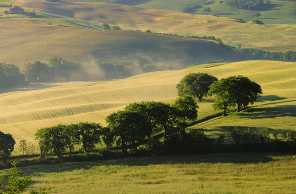 Colinas Toscana — Foto de Stock