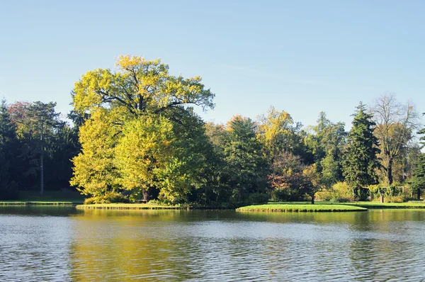 Anglická zahrada woerlitz jezero — Stock fotografie