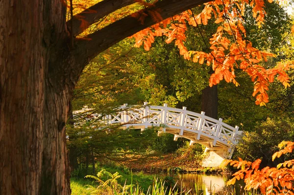 Terrenos ingleses del puente blanco de Woerlitz — Foto de Stock