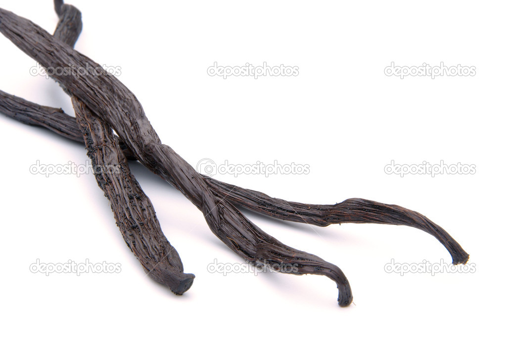 vanilla pod stock photo c kassandra2 17988671 https depositphotos com 17988671 stock photo vanilla pod html