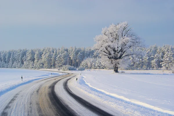 Road in winter Stock Image