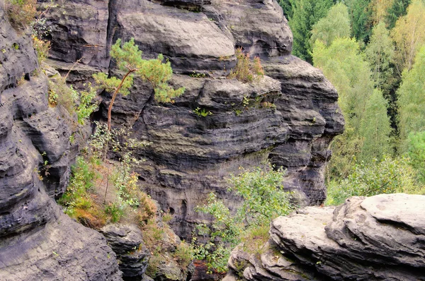 Bielatal, deutschland — Stockfoto