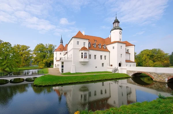 Fuerstlich Drehna palace, Germany — Stok fotoğraf