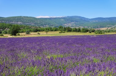 Mont ventoux, Fransa