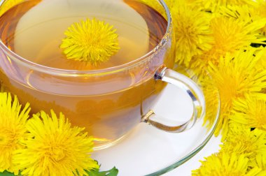 çay karahindiba