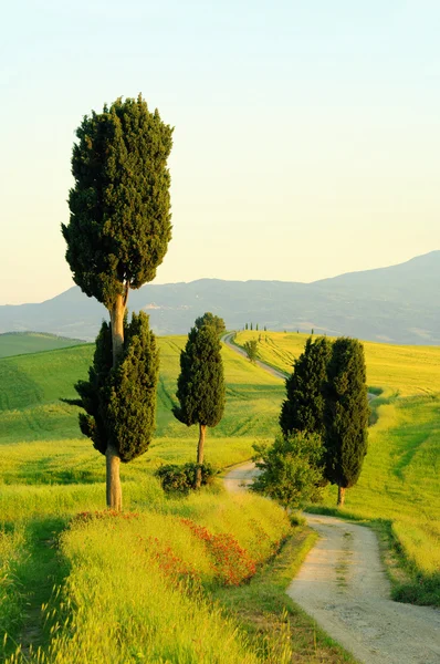 Podere terrapille, Włochy — Zdjęcie stockowe