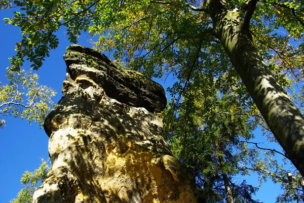 Kumtaşı — Stok fotoğraf