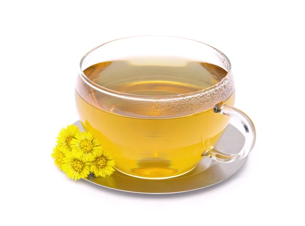 Té Coltsfoot — Foto de Stock