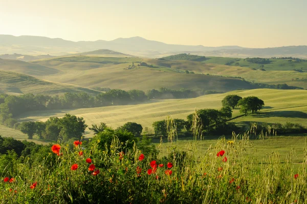 Toskana tepeleri — Stok fotoğraf