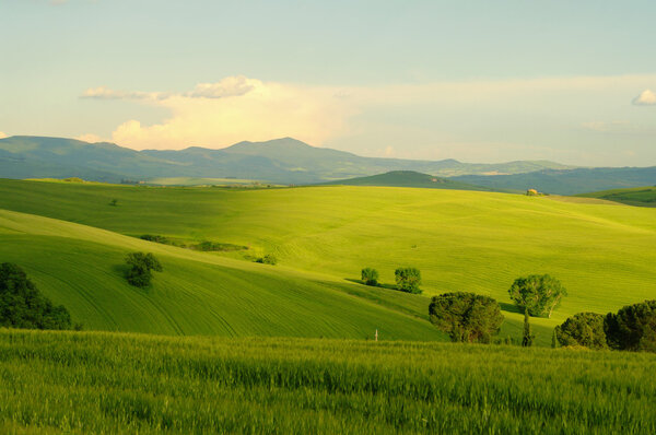 Toscana verdes colinas en Italia — Foto de Stock