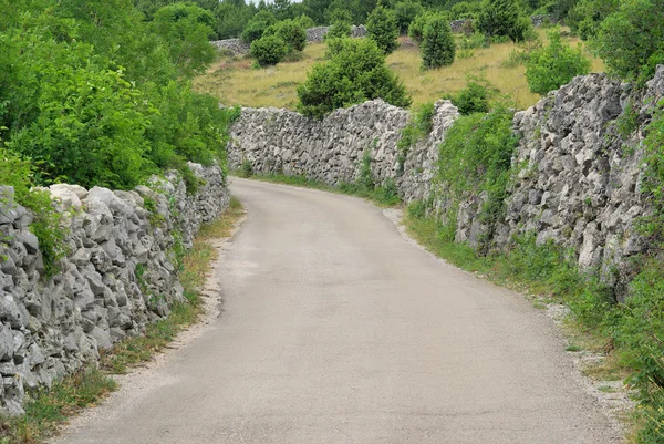 Cres trockenmauern mit weg - cres kuru taş duvar ve yol 08 — Stok fotoğraf