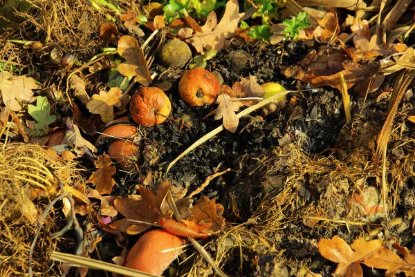 Komposthaufen - 15 купі компосту — стокове фото