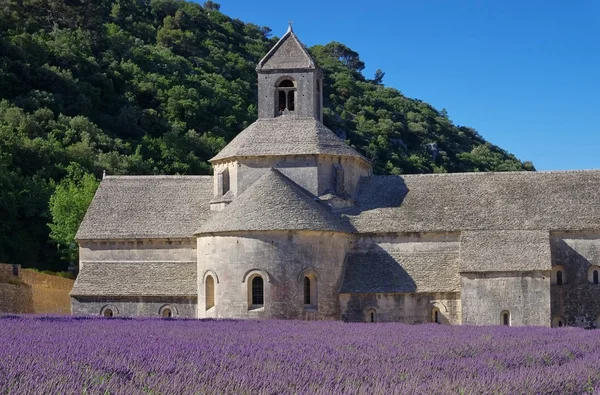 24 de Senanque —  Fotos de Stock