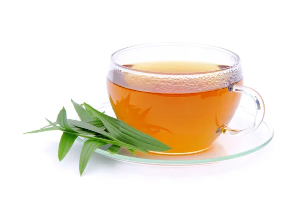 Herbata spitzwegerich - herbaty ribwort babki 05 — Zdjęcie stockowe