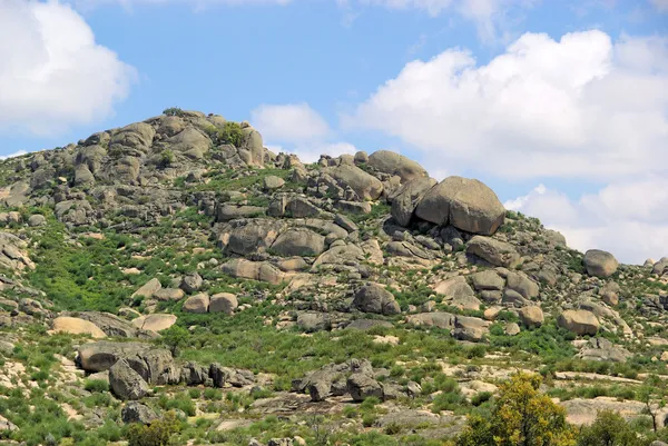 Валенсия-де-Алькантара Гранитфелсень - Валенсия-де-Алькантара гранитный скальный ландшафт 29 — стоковое фото