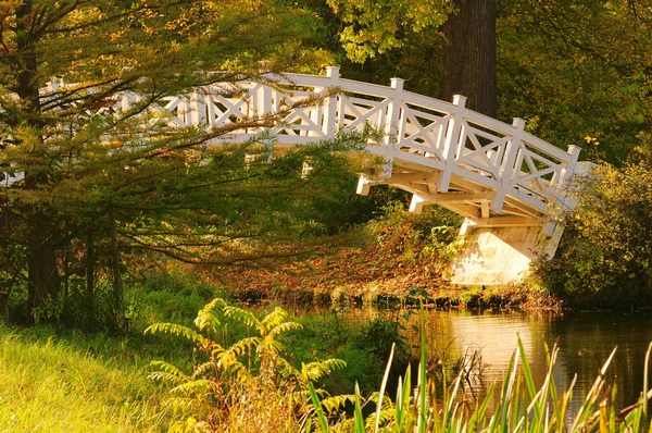 Woerlitzer park weisse bruecke - woerlitz beyaz köprü 25 İngiliz gerekçesiyle — Stok fotoğraf