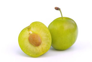 Greengage 04