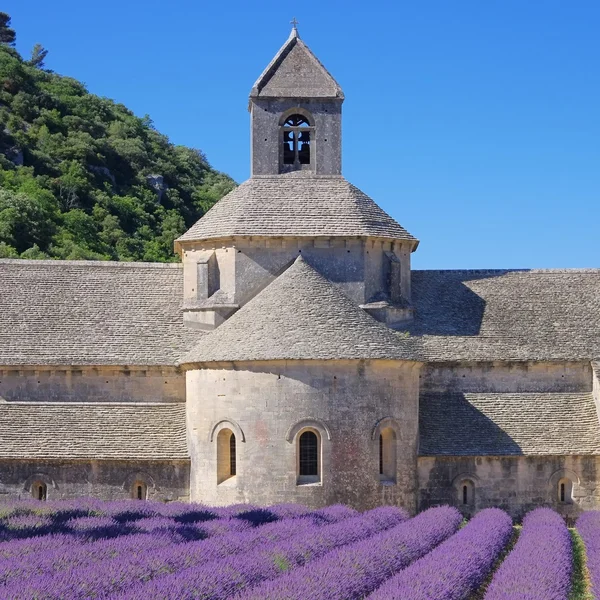 45 de Senanque —  Fotos de Stock