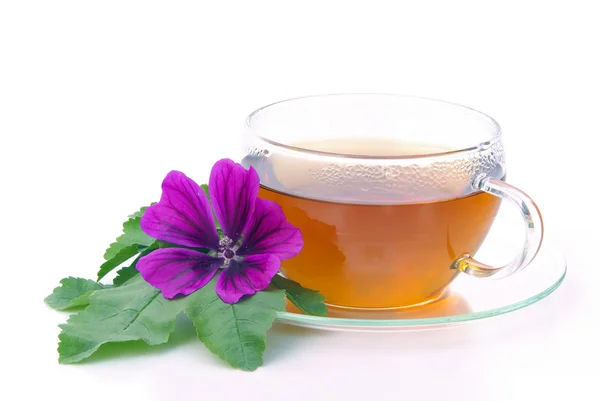 Tea malva 05 — Stock Photo, Image