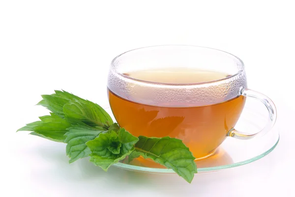Herbata peppermint 06 — Zdjęcie stockowe