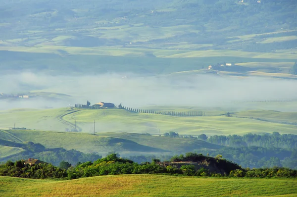 Hügel der Toskana 13 — Stockfoto
