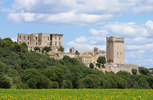 Abbaye de Montmajour — Fotografia de Stock