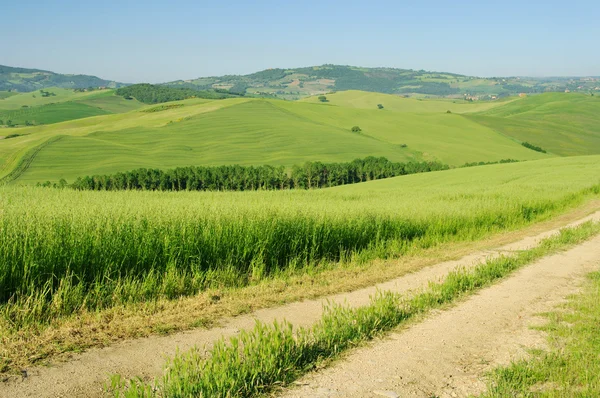 Heuvels van Toscane — Stockfoto