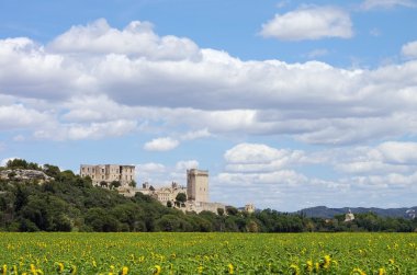 Abbaye de Montmajour