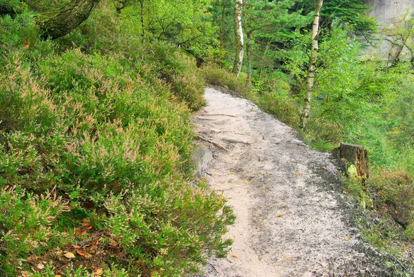 Path through mountains Affensteine — Stock Photo, Image