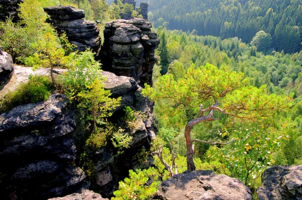 Valle di Biela — Foto Stock