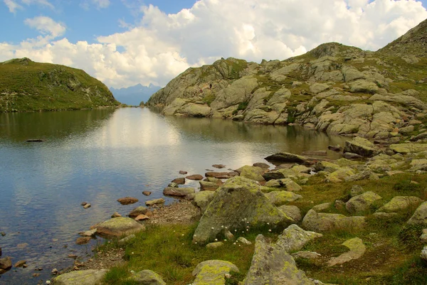 Sjön furgler — Stockfoto