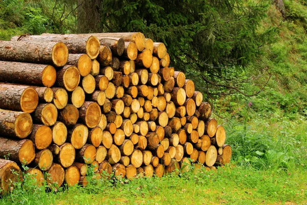 堆木头 — 图库照片