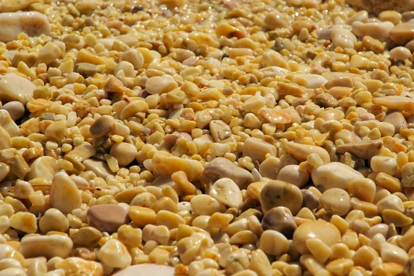 Kiezelstrand op het strand — Stockfoto