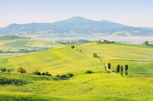 Colinas verdes da Toscana em Itália — Fotografia de Stock