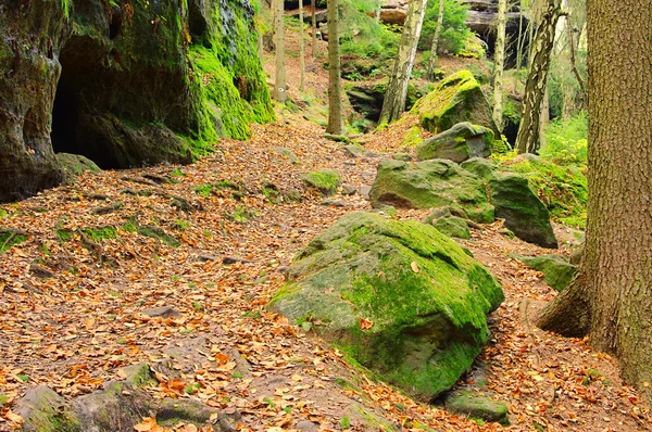 Sandsten vaggar i skogen — Stockfoto