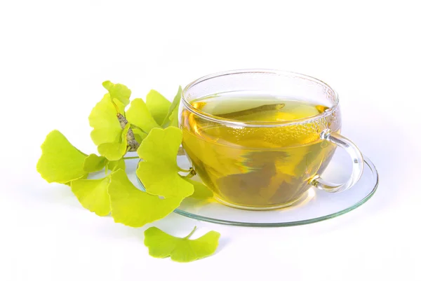 Tea ginkgo — Stock Photo, Image