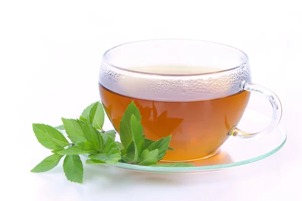 Tea Peppermint — Stock Photo, Image