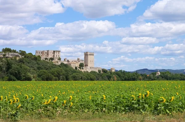 Abbaye de Montmajour 08 — 스톡 사진