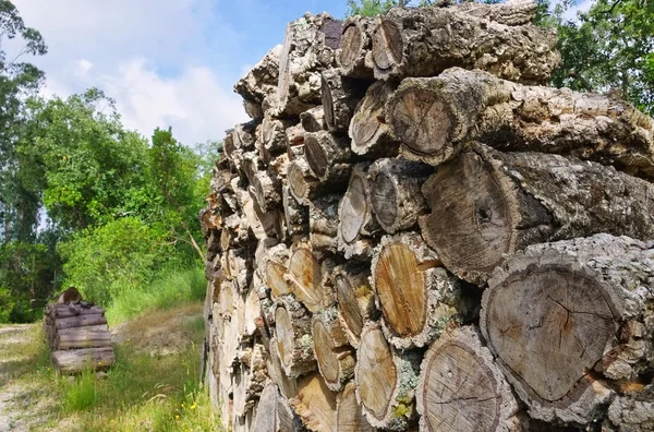 Mantar meşesi 06 ahşaptan yığını — Stok fotoğraf