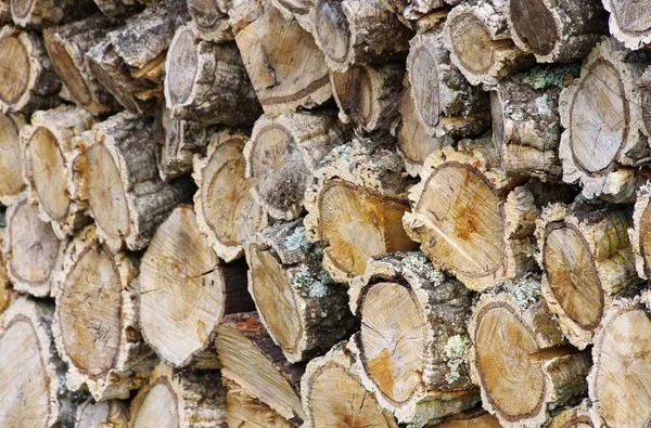 Pilha de madeira de sobreiros 07 — Fotografia de Stock