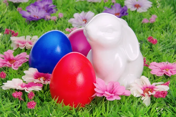 Πασχαλινά αυγά σε λουλούδι Λιβάδι 27 — Φωτογραφία Αρχείου