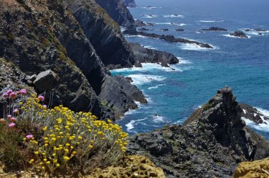 Cabo sardao sahil 01