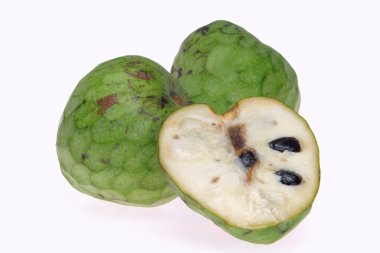 Cherimoya 15