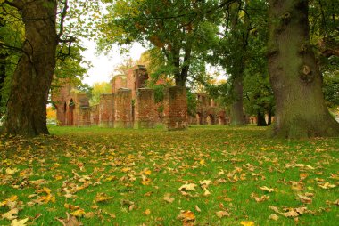 Greifswald Abbey 10